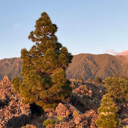 El Oasis Hotell El Paso Eksteriør bilde